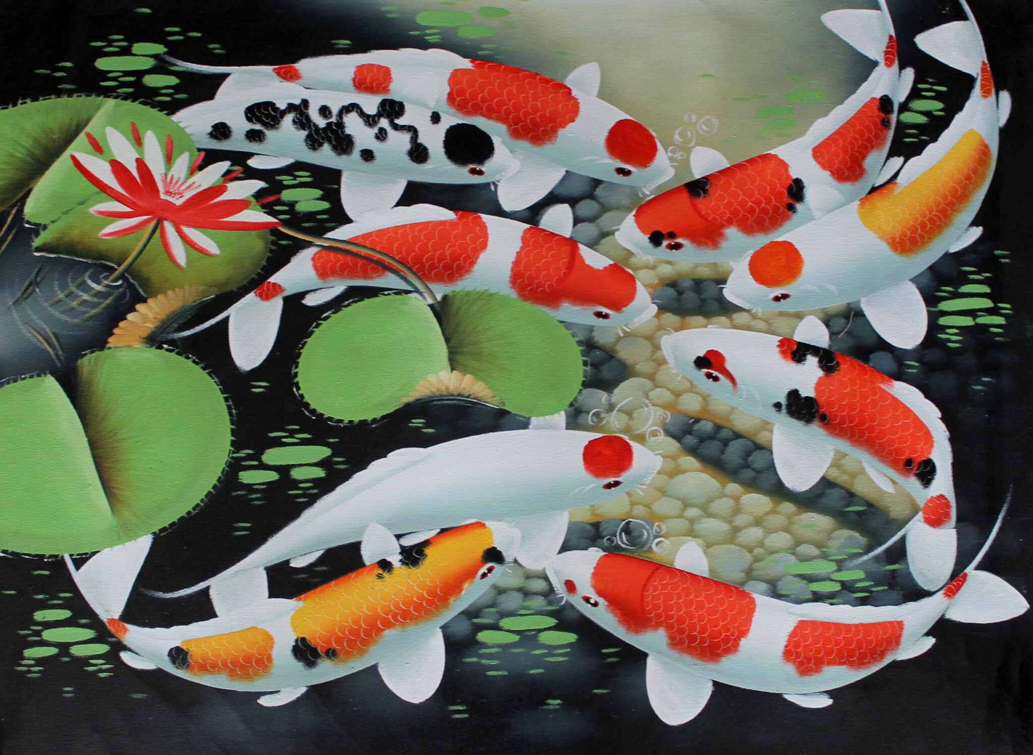 In recent years, Netizens have taken to sharing pictures of koi fish on... 